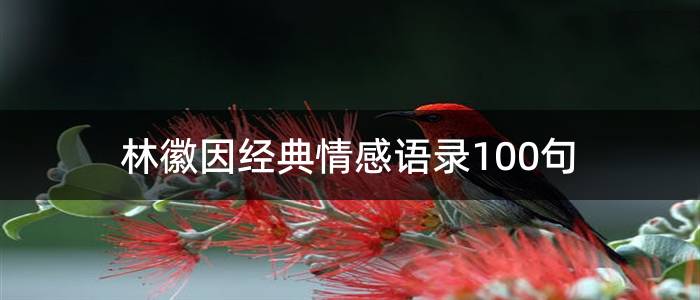 林徽因经典情感语录100句