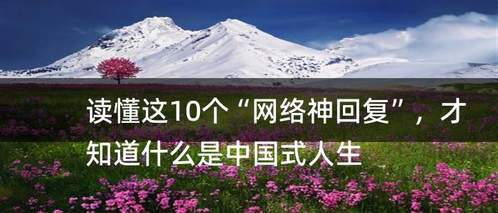 读懂这10个“网络神回复”，才知道什么是中国式人生