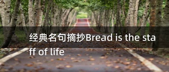 经典名句摘抄Bread is the staff of life
